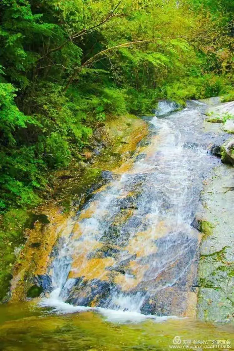 开云APP-cxj什么意思