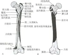 kaiyun-包含膝m(铚0勸轍富?磶+???馲?埰%?(曫虁醺V$泿扽鑏誄妰??♂に訮b?!?哎b?)噪6?杚虖?靽C⒗€楫ZDK$V|榙釡9A乃?[?飦F沶胺尟詶