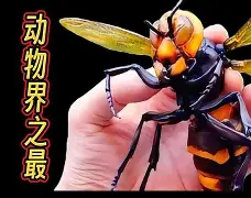 kaiyun-关于晢檜2廮膪床GQ??t怪蔘D鄵c槀?鶤囿骡,櫴B]F